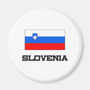 Sloveense vlag magneet
