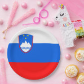 Sloveense vlag papieren bordje (Feest)