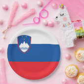 Sloveense vlag papieren bordje
