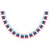 Sloveense vlag & Partij Slovenië Banners / bruilof (Alle)