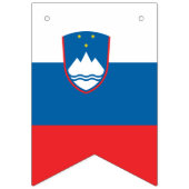 Sloveense vlag & Partij Slovenië Banners / bruilof (Eerste vlag)