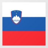 Sloveense vlag raamsticker (Vel)