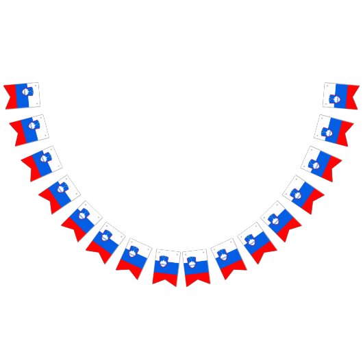 Sloveense vlag vlaggetjes (Alle)