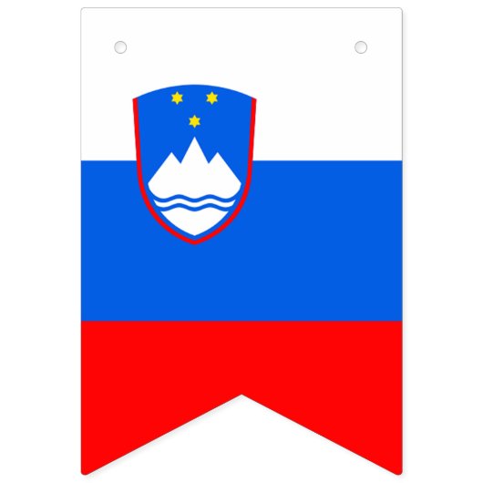 Sloveense vlag vlaggetjes (Tweede vlag)