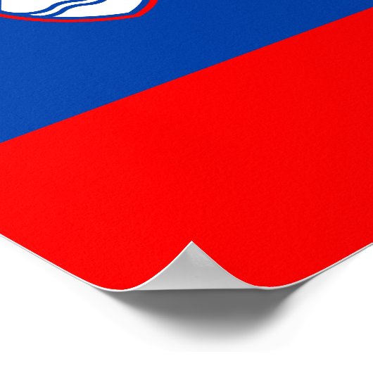 Slovenia Flag Poster (Hoek)