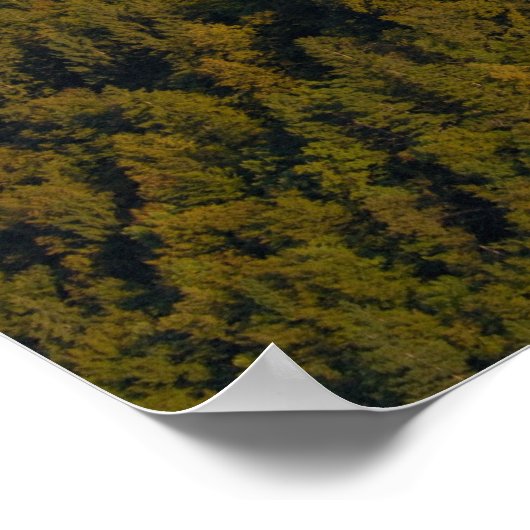 Slovenië, Bled, Bleemmeer, Bled Castle op Poster (Hoek)