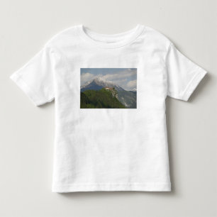SLOVENIË, GORENJSKA, geblazen: Bled Castle & 2 Kinder Shirts