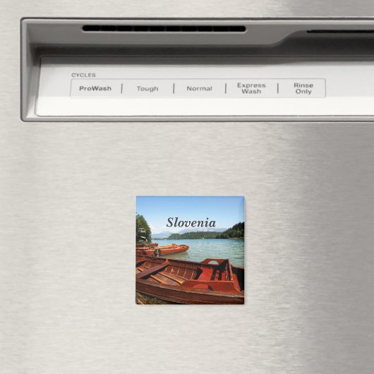 Slovenië Magneet (Insitu (Vaatwasser))