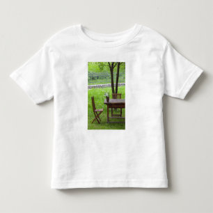 SLOVENIË, PRIMORSKA, Spodnja Idrija: Tafel op Kinder Shirts