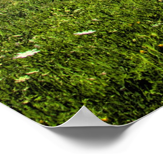 Slovenië, schilderachtig foto met Alpen Poster (Hoek)