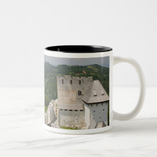 SLOVENIË, STAJERSKA (Stiermarken), Celje: Gezicht Tweekleurige Koffiemok
