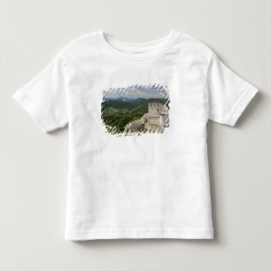 SLOVENIË, STAJERSKA Styria), Celje: Uitzicht Kinder Shirts