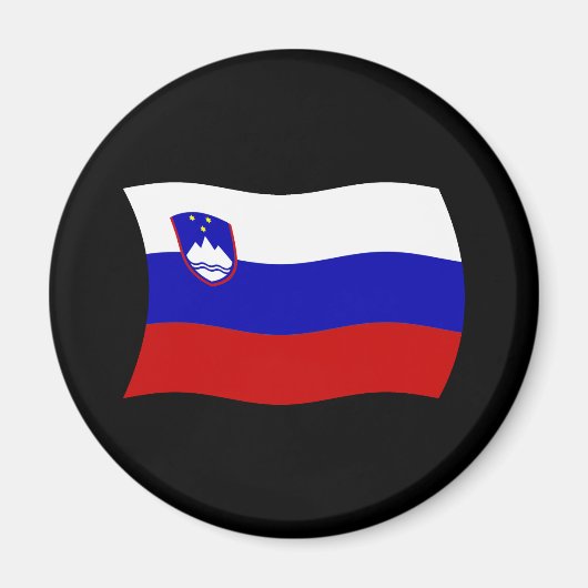 Slovenië Vlag Magneet (Voorkant)