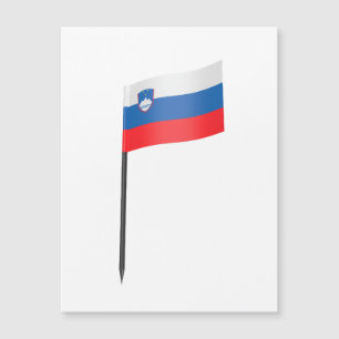 Slovenië vlag tandenstoker