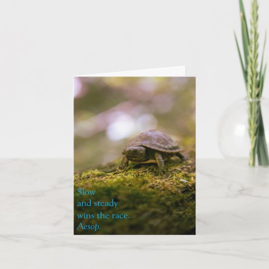 Slow and Steady wint de race - Aesop Kaart (Voorkant)