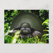 Slow Commando Briefkaart (Voorkant)