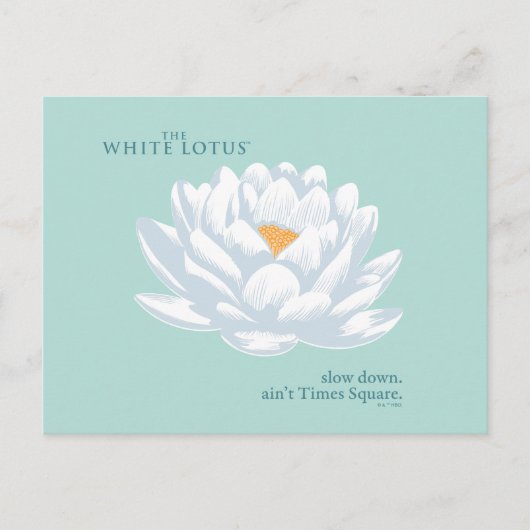 Slow Down, Ain't Times Square - De Witte Lotus Briefkaart (Voorkant)