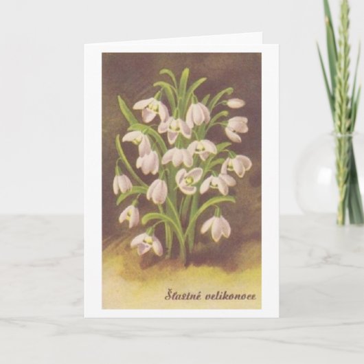 Slowaaks / Tsjechische Kaart (Voorkant)