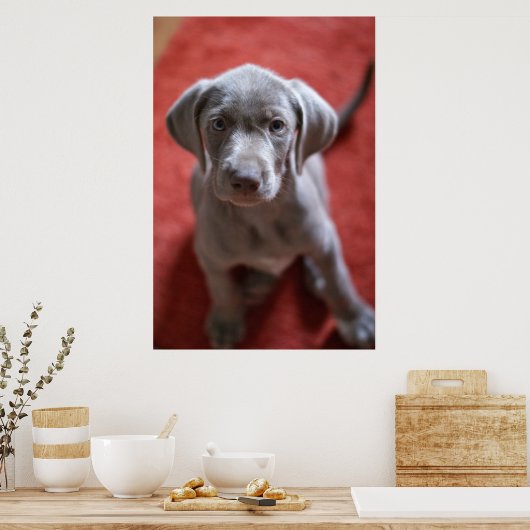 Slowaakse rammeloen poster (Keuken)