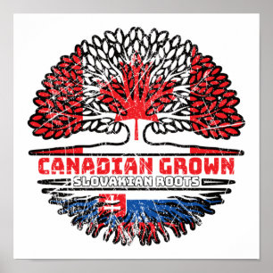 Slowaakse Slowaakse Canadese Canada - boomstammen Poster