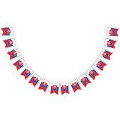 Slowaakse vlag en partij Slowaakse banners / bruil (Alle)