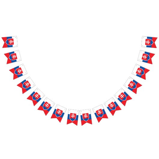 Slowaakse vlag en partij Slowaakse banners / bruil (Alle)
