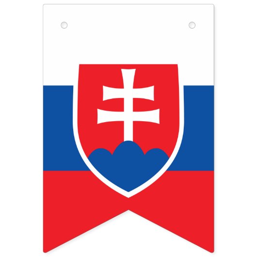 Slowaakse vlag en partij Slowaakse banners / bruil (Eerste vlag)