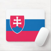 Slowaakse vlag muismat (Met muis)