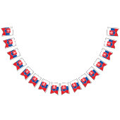 Slowaakse vlag vlaggetjes (Alle)