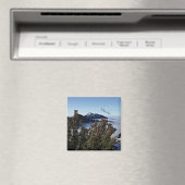 Slowakije in de winter magneet (Insitu (Vaatwasser))