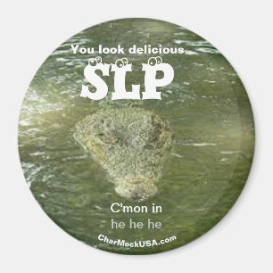SLP U ziet er heerlijk uit als koelkast Magnet