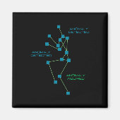 SLS Ghost Hunting Paranormal Investigation Ghost H Magneet (Voorkant)