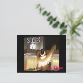 SLS Las Vegas Briefkaart (Staand voorkant)