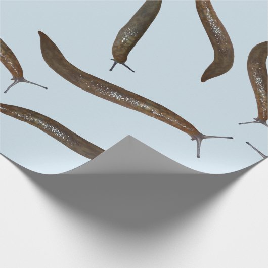 Slug Cadeaupapier (Hoek)