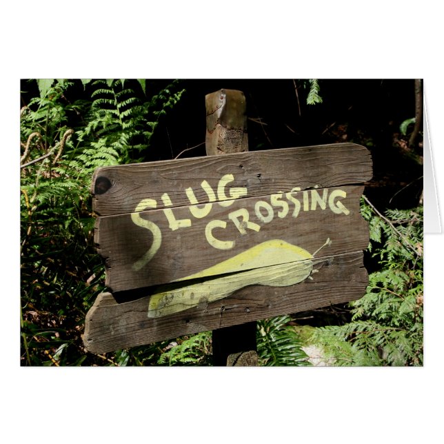 Slug Crossing (Voorkant Horizontaal)
