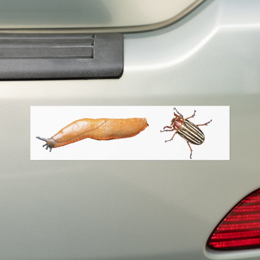 Slug en Bug Bumpersticker (Op auto)