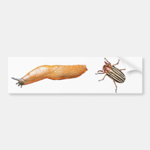 Slug en Bug Bumpersticker
