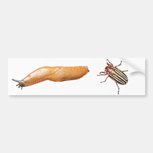 Slug en Bug Bumpersticker (Voorkant)