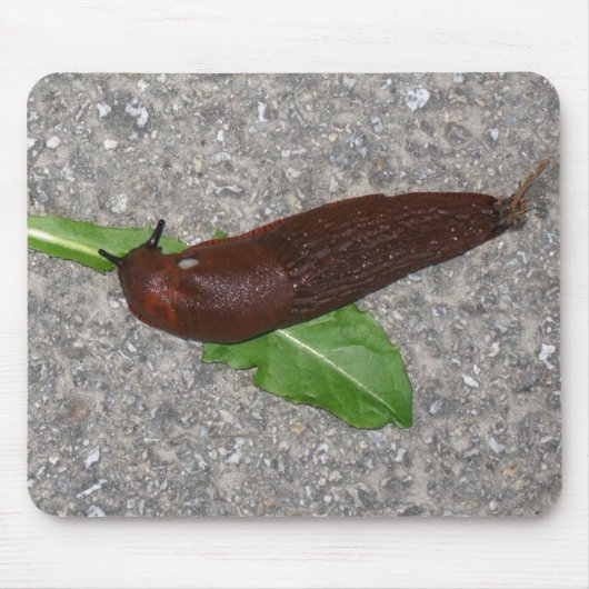 Slug Muismat (Voorkant)
