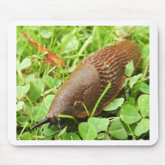 Slug Muismat