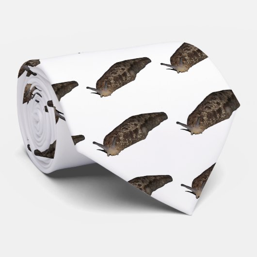 Slug Stropdas (Opgerold)