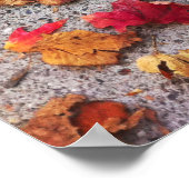 sluggo de luie leaf-raker poster (Hoek)