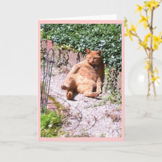 Sluggy Kat Greep Kaart (Gele Bloem)