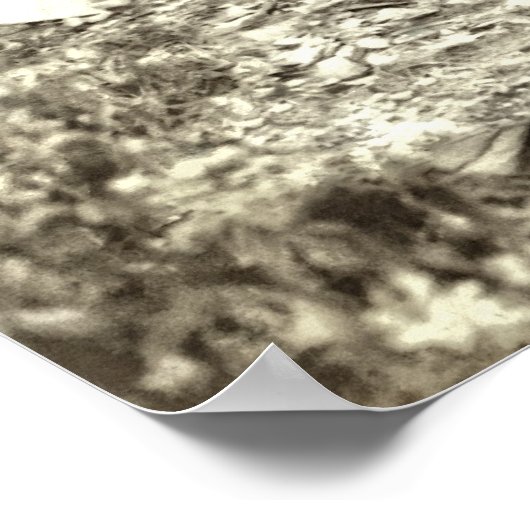 SLUICE BOX GOLD MINING c. 1889 Poster (Hoek)