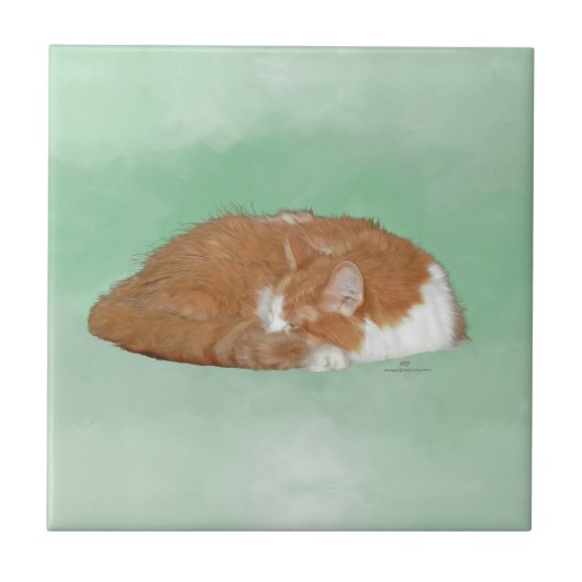 Sluimerende oranje kat tegeltje (Voorkant)