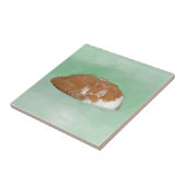 Sluimerende oranje kat tegeltje (Zijkant)