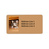 Sluipend Kitten Label (Voorkant)
