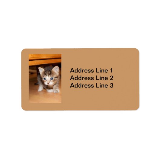 Sluipend Kitten Label (Voorkant)