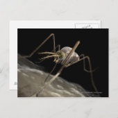 Sluit 3d muggenbijten af briefkaart (Voorkant / Achterkant)