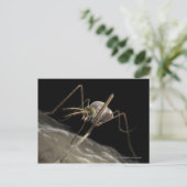 Sluit 3d muggenbijten af briefkaart (Staand voorkant)